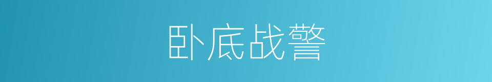 卧底战警的同义词