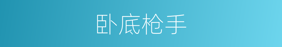 卧底枪手的同义词