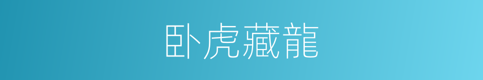 卧虎藏龍的同義詞