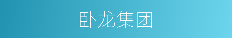 卧龙集团的同义词