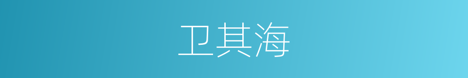 卫其海的同义词