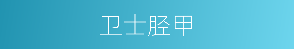 卫士胫甲的同义词