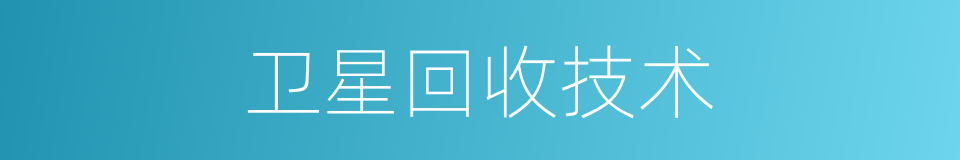 卫星回收技术的同义词