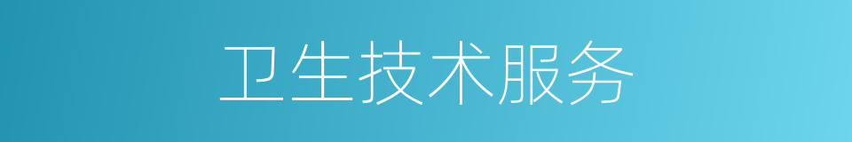 卫生技术服务的同义词