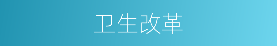 卫生改革的同义词