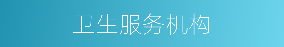 卫生服务机构的同义词