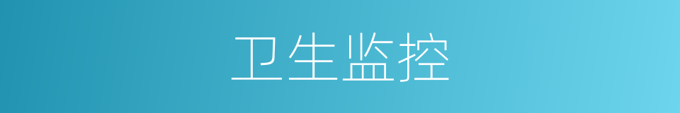 卫生监控的同义词