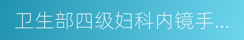 卫生部四级妇科内镜手术培训基地的同义词