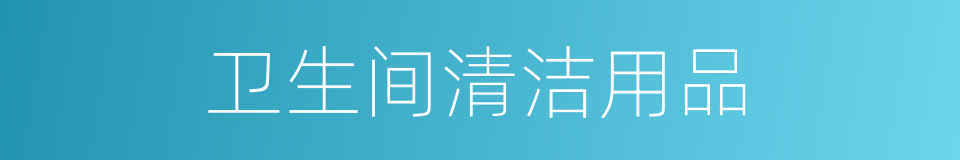 卫生间清洁用品的同义词