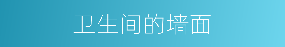 卫生间的墙面的同义词