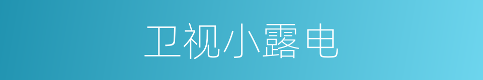 卫视小露电的同义词