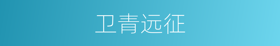 卫青远征的同义词