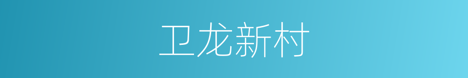 卫龙新村的同义词