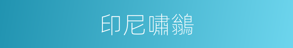 印尼嘯鶲的同義詞