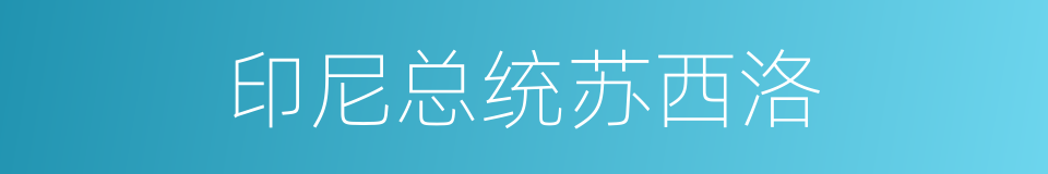 印尼总统苏西洛的同义词