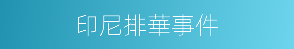 印尼排華事件的同義詞