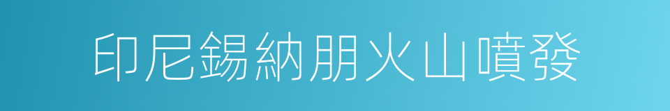 印尼錫納朋火山噴發的同義詞
