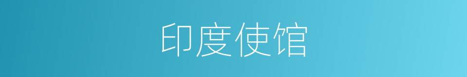 印度使馆的同义词