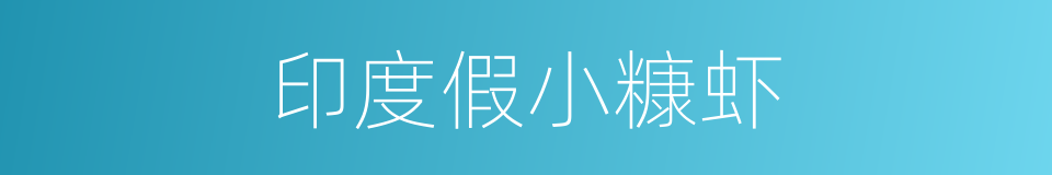 印度假小糠虾的同义词