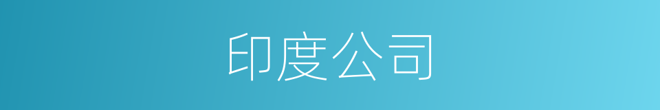 印度公司的同义词