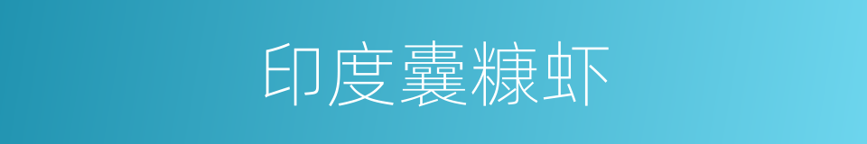 印度囊糠虾的同义词