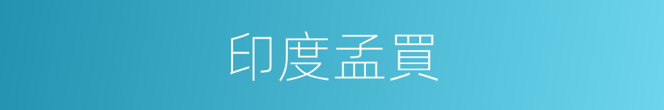 印度孟買的同義詞