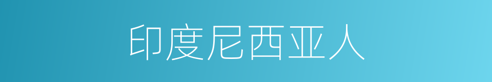 印度尼西亚人的同义词