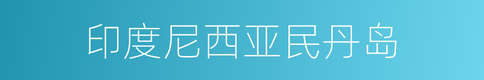 印度尼西亚民丹岛的同义词