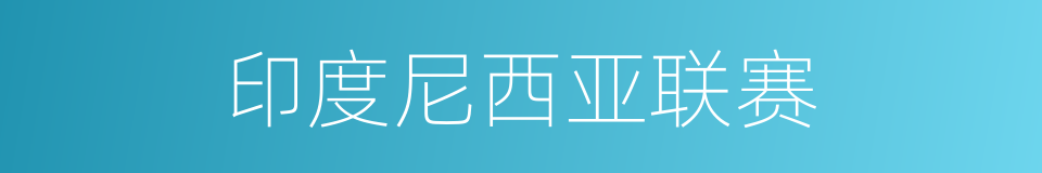 印度尼西亚联赛的同义词