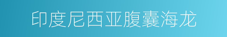 印度尼西亚腹囊海龙的同义词