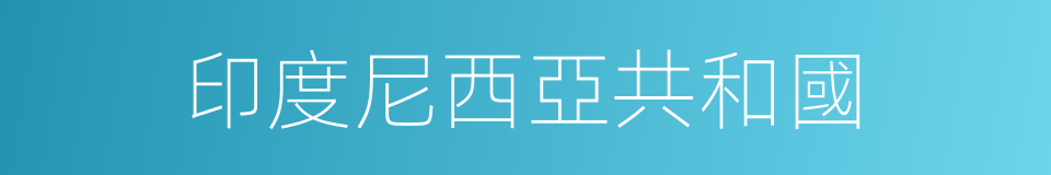 印度尼西亞共和國的同義詞