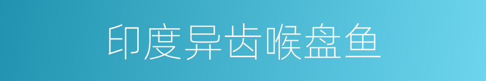 印度异齿喉盘鱼的同义词