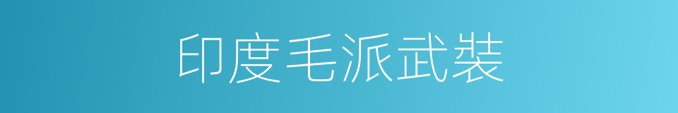 印度毛派武裝的同義詞