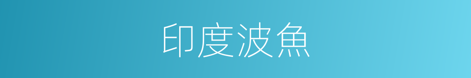 印度波魚的同義詞