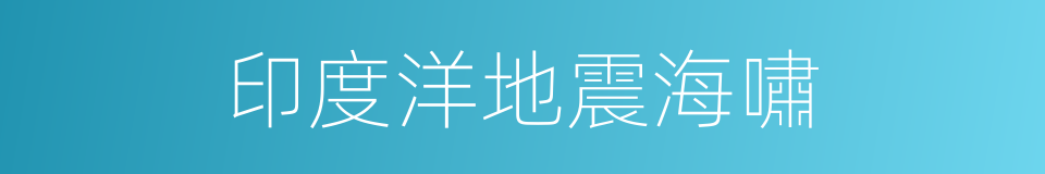 印度洋地震海嘯的同義詞