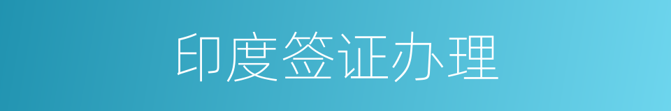 印度签证办理的同义词