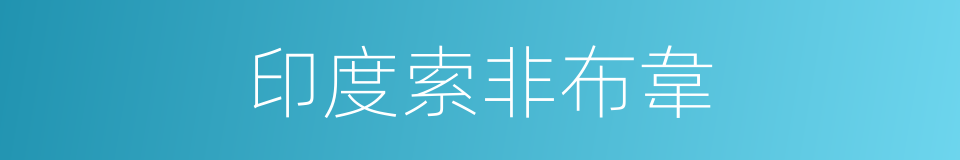 印度索非布韋的同義詞