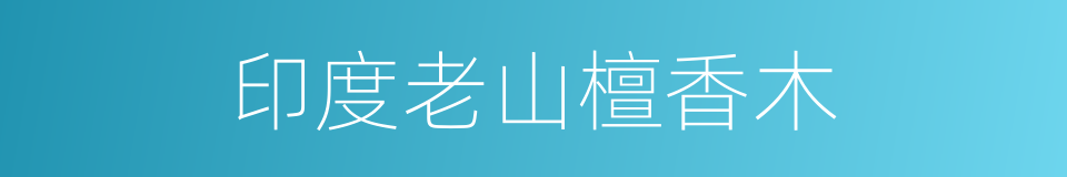 印度老山檀香木的同义词