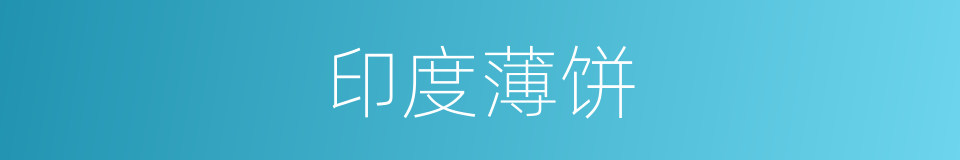 印度薄饼的同义词