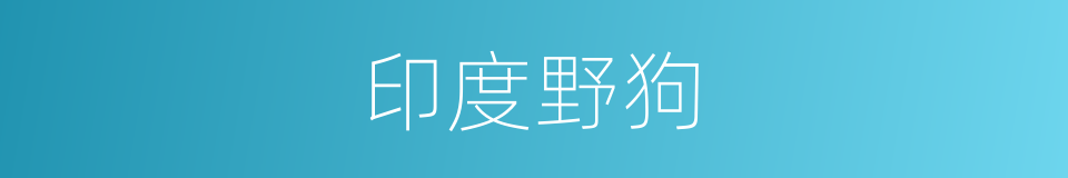 印度野狗的同义词