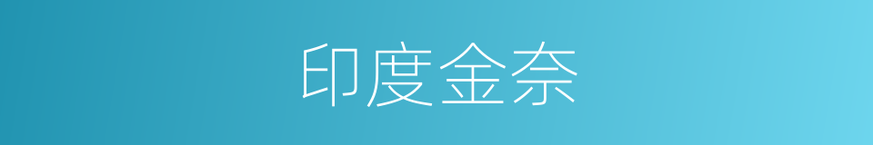 印度金奈的同义词