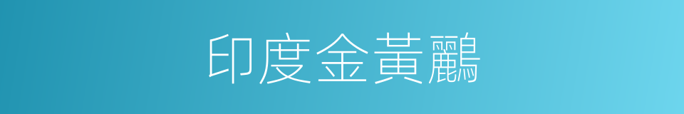 印度金黃鸝的同義詞