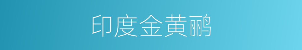 印度金黄鹂的同义词