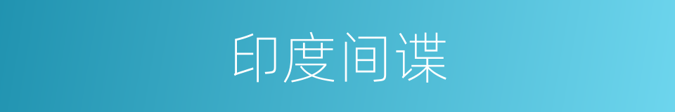 印度间谍的同义词