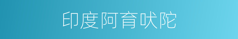 印度阿育吠陀的同义词