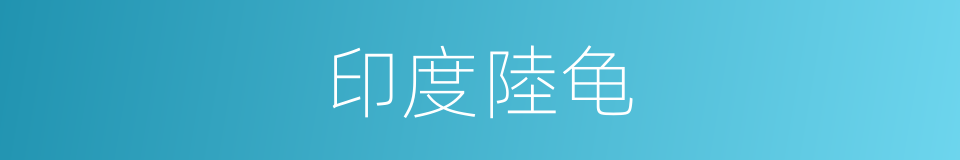 印度陸龟的同義詞