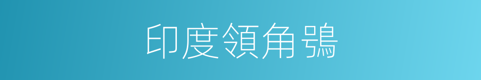 印度領角鴞的同義詞