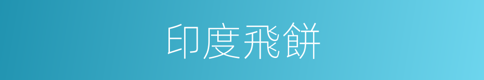 印度飛餅的同義詞