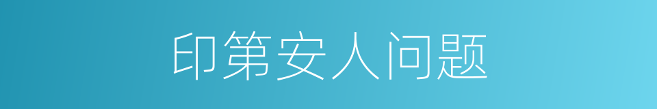 印第安人问题的同义词