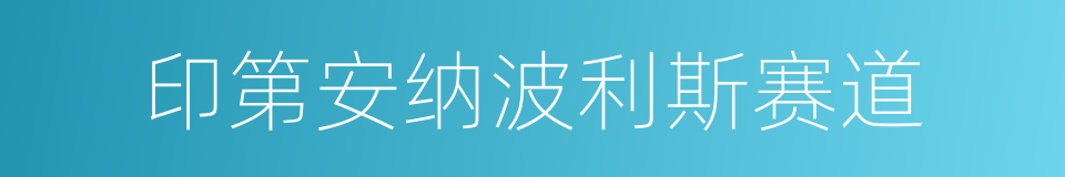 印第安纳波利斯赛道的同义词